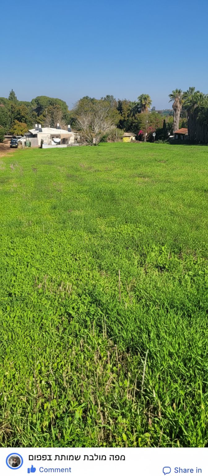 מהסמארטפון שלי